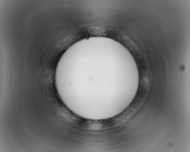 X0000100980658200807151417