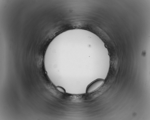 X0000100980660200807151417