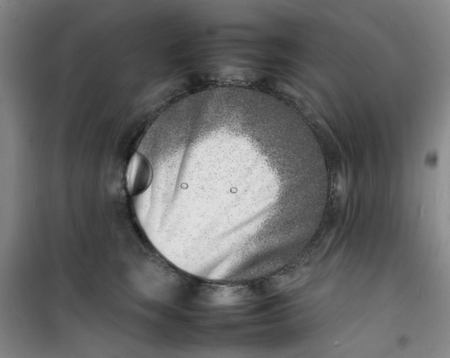 X0000100980663200807151417