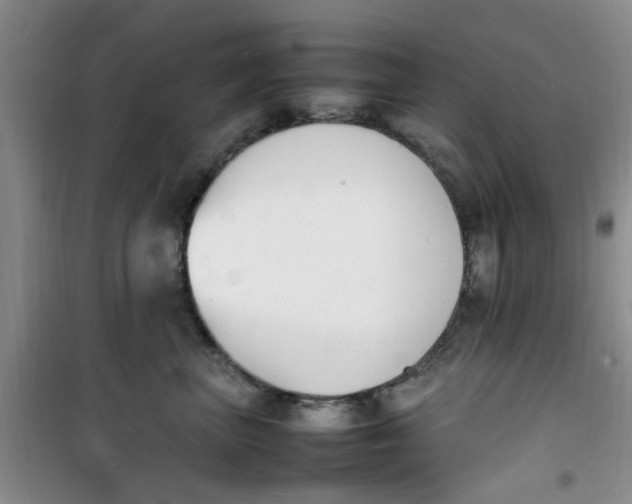 X0000100980667200807151417