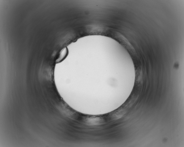 X0000100980669200807151417