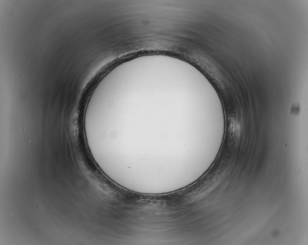 X0000100980676200807151416