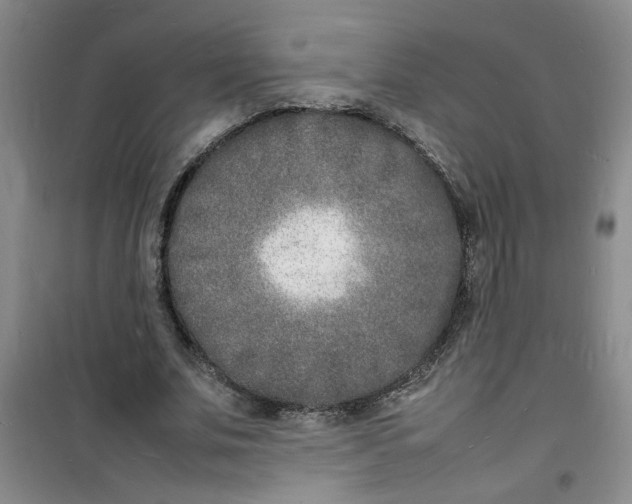 X0000100980679200807151416