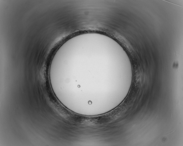 X0000100980680200807151416