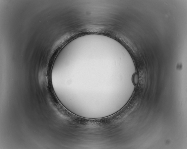 X0000100980682200807151416