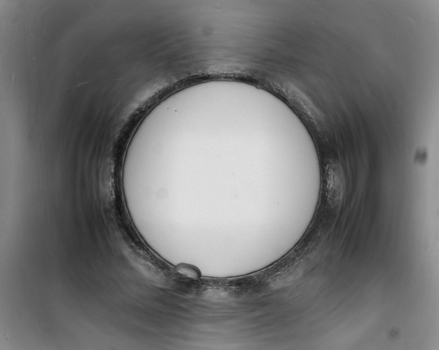 X0000100980684200807151416