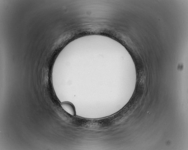 X0000100980685200807151416