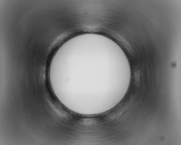 X0000100980686200807151416