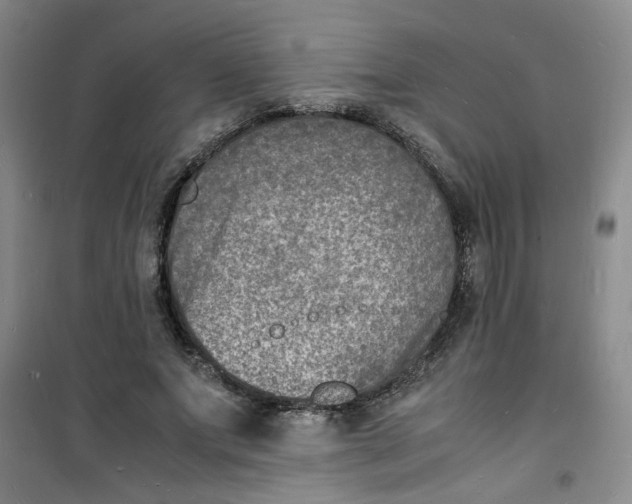 X0000100980687200807151416