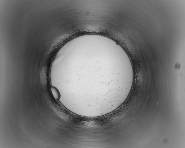 X0000100980688200807151416