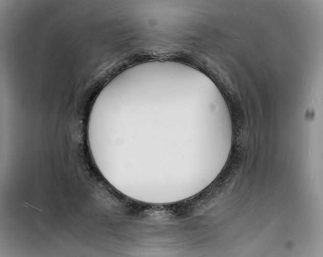 X0000100980689200807151416