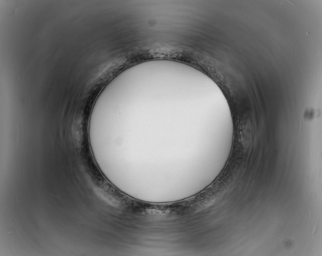 X0000100980690200807151416