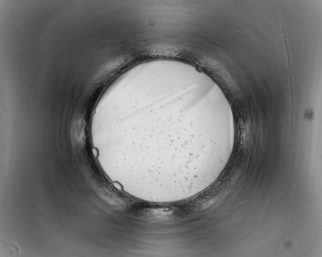 X0000100980692200807151416