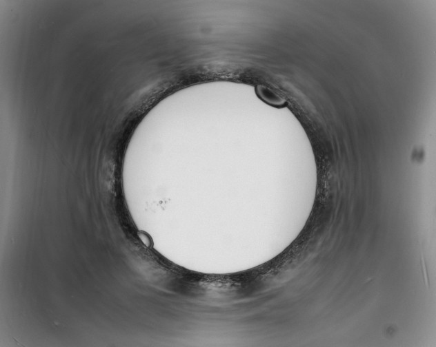 X0000100980693200807151416