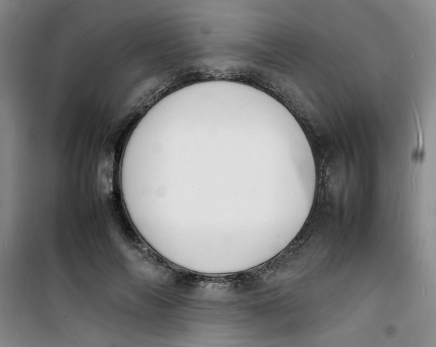 X0000100980694200807151416