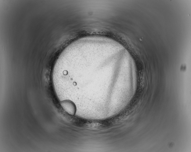 X0000100980695200807151416