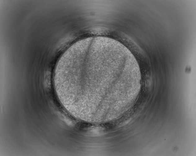 X0000100980696200807151416