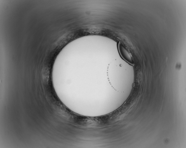 X0000100980697200807151416