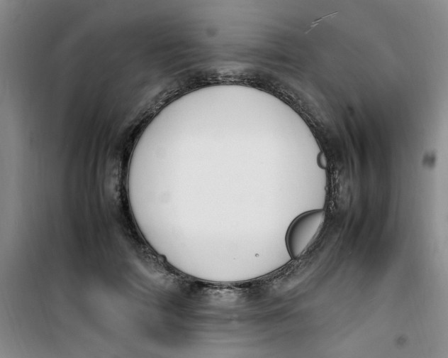 X0000100980698200807151416