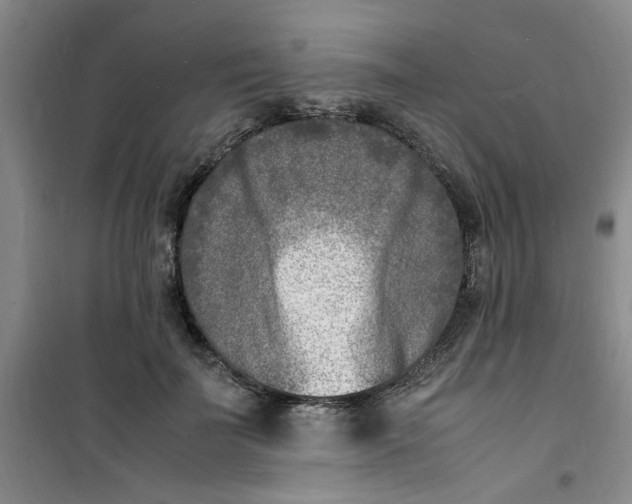 X0000100980699200807151416