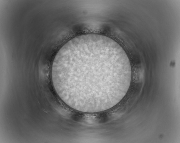 X0000100980701200807151416