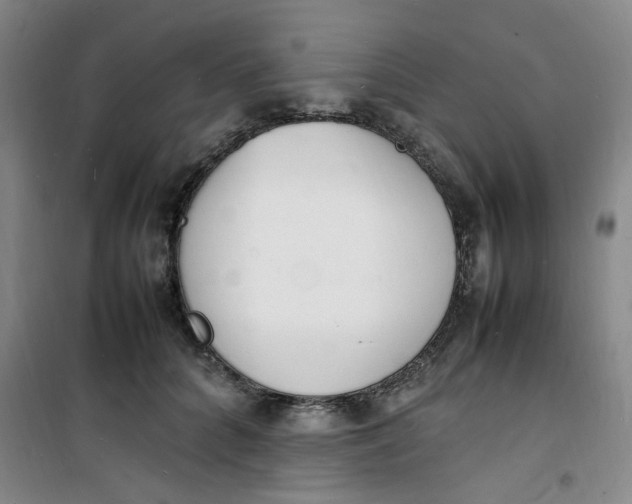 X0000100980704200807151415