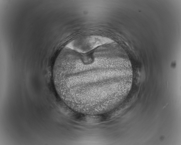 X0000100980707200807151415