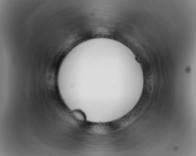 X0000100980708200807151415