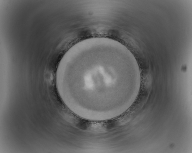 X0000100980709200807151415