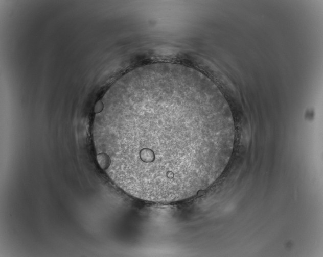 X0000100980711200807151415