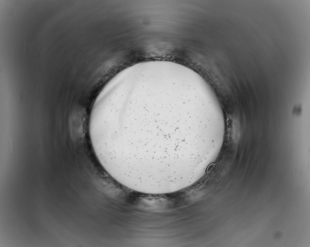 X0000100980712200807151415