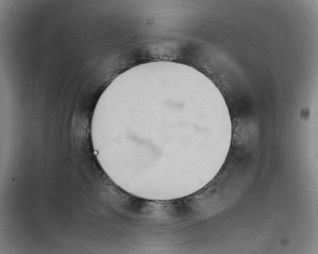 X0000100980713200807151415