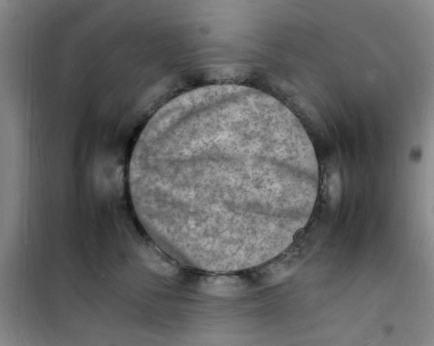 X0000100980716200807151415