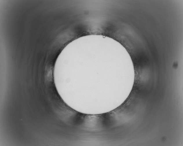 X0000100980717200807151415