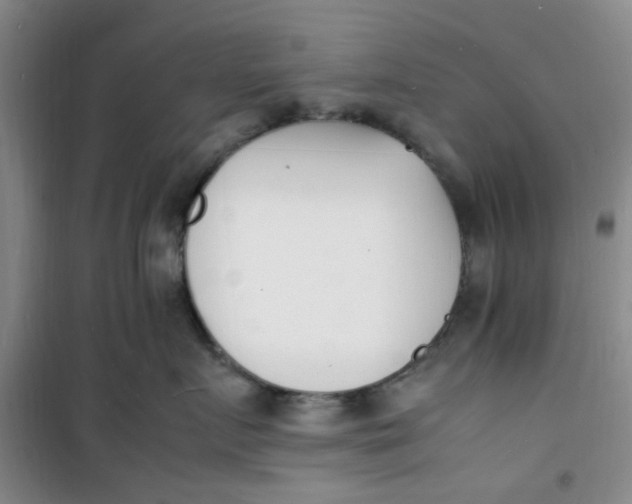 X0000100980719200807151415