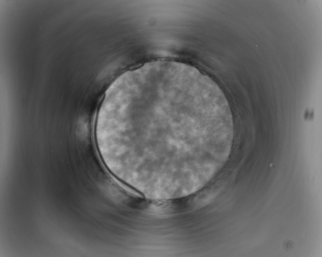 X0000100980720200807151415