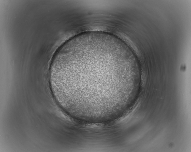 X0000100980721200807151414