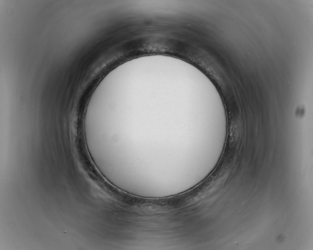 X0000100980722200807151415