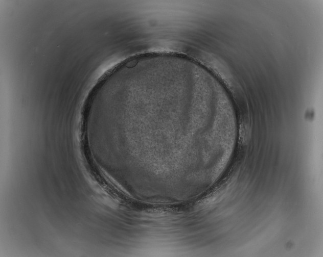 X0000100980724200807151415