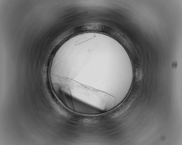 X0000100980725200807151415