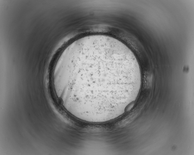 X0000100980726200807151415