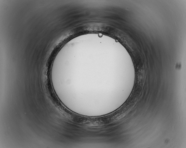 X0000100980727200807151415