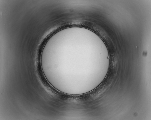 X0000100980728200807151415