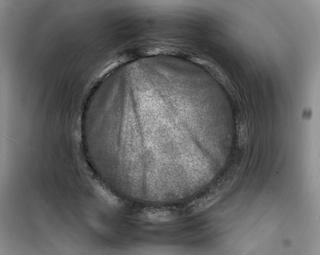 X0000100980729200807151415