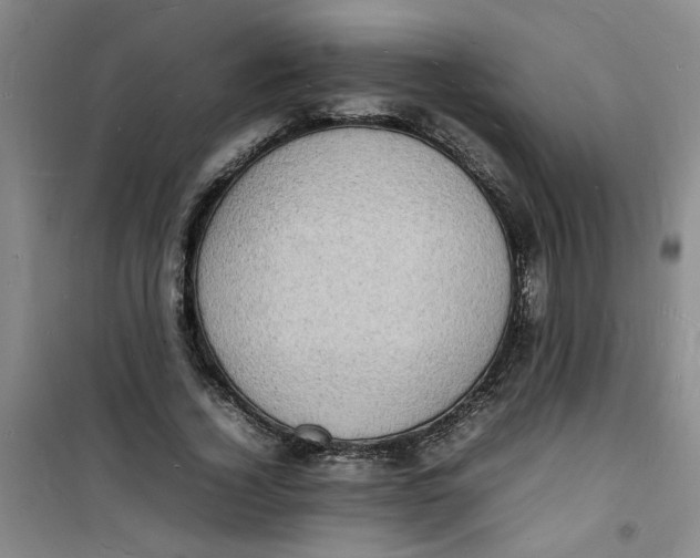 X0000100980732200807151415