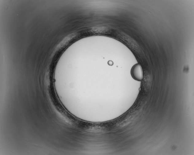 X0000100980734200807151415