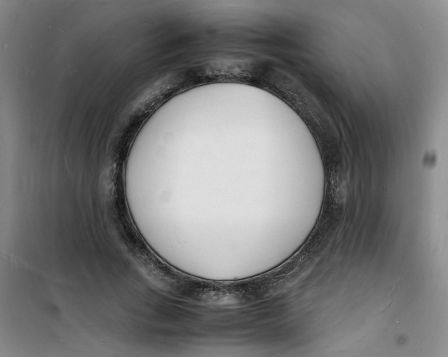 X0000100980735200807151415