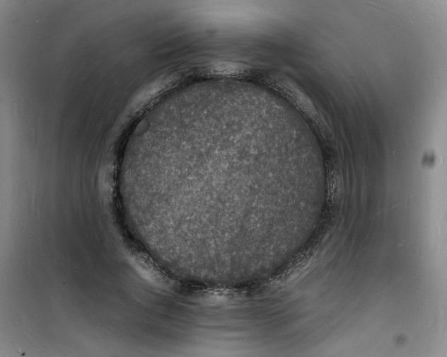 X0000100980736200807151415