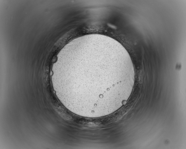 X0000100980737200807151415