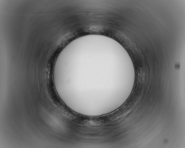 X0000100980739200807151415